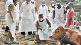 Pemerintah sudah turun tangan untuk menangani wabah Penyakit Kuku dan Mulut (PMK). (Instagram.com/@kementerianpertanian)
