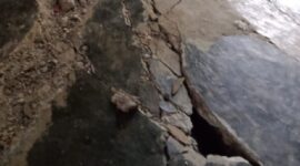 Warga Seram Bagian Barat Masih Mengungsi Pascagerakan Tanah. (Dok. BNPB INDONESIA)
