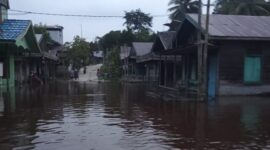 Dua Kabupaten Wilayah Kalimantan Tengah Dilanda Banjir. (Dok. BNPB Indonesia)
