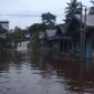 Dua Kabupaten Wilayah Kalimantan Tengah Dilanda Banjir. (Dok. BNPB Indonesia)
