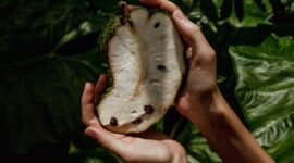 Selain buahnya yang enak, daun sirsak dipercaya ampuh mengobati penyakit asam urat. (Pexels/Iurii Laimin)