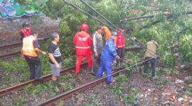 BPBD Kota Cimahi beserta warga memotong dan membersihkan pohon tumbang yang diakibatkan oleh peristiwa angin puting beliung. (Dok. BPBD Kota Cimahi)