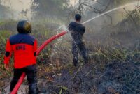  Kebakaran hutan dan lahan (karhutla) di Provinsi Kalimantan Selatan. (Dok. BNPB)
