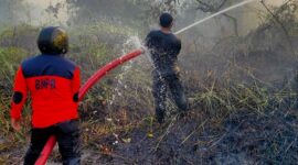  Kebakaran hutan dan lahan (karhutla) di Provinsi Kalimantan Selatan. (Dok. BNPB)
