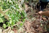 Tim BPBD dan warga evakuasi barang dari rumah rusak akibat angin kencang dan longsor di Sulawesi. (Dok. BNPB)