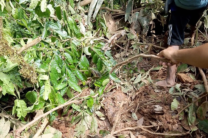 Tim BPBD dan warga evakuasi barang dari rumah rusak akibat angin kencang dan longsor di Sulawesi. (Dok. BNPB)